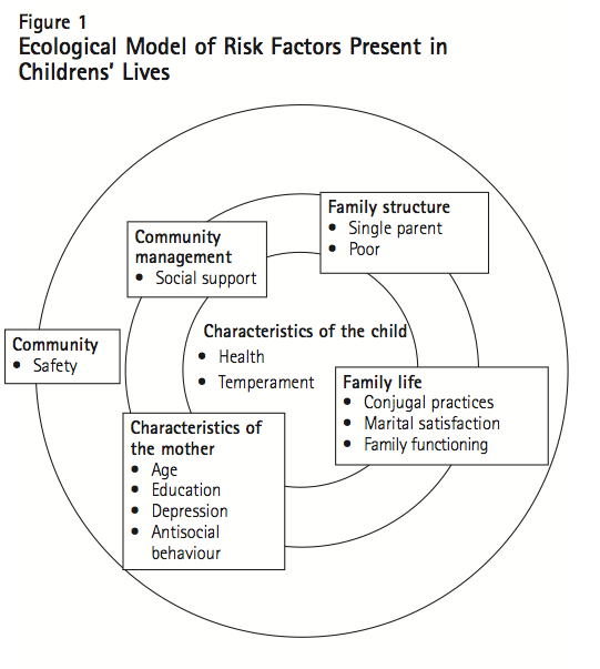 Figure 1 Ecological Model