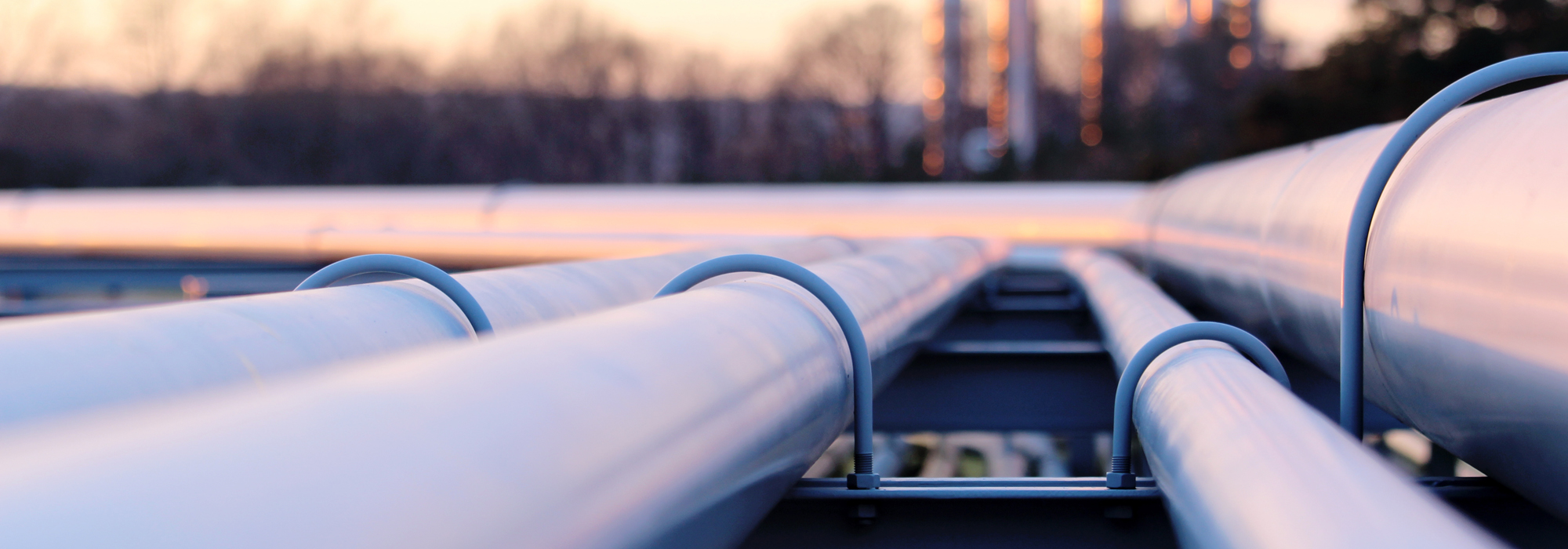 Dutch Disease or Failure to Compete?