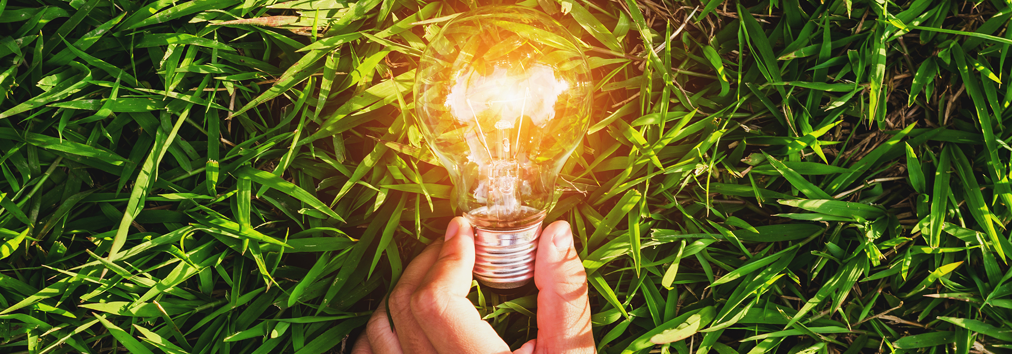 Pre-election event: Climate change policy