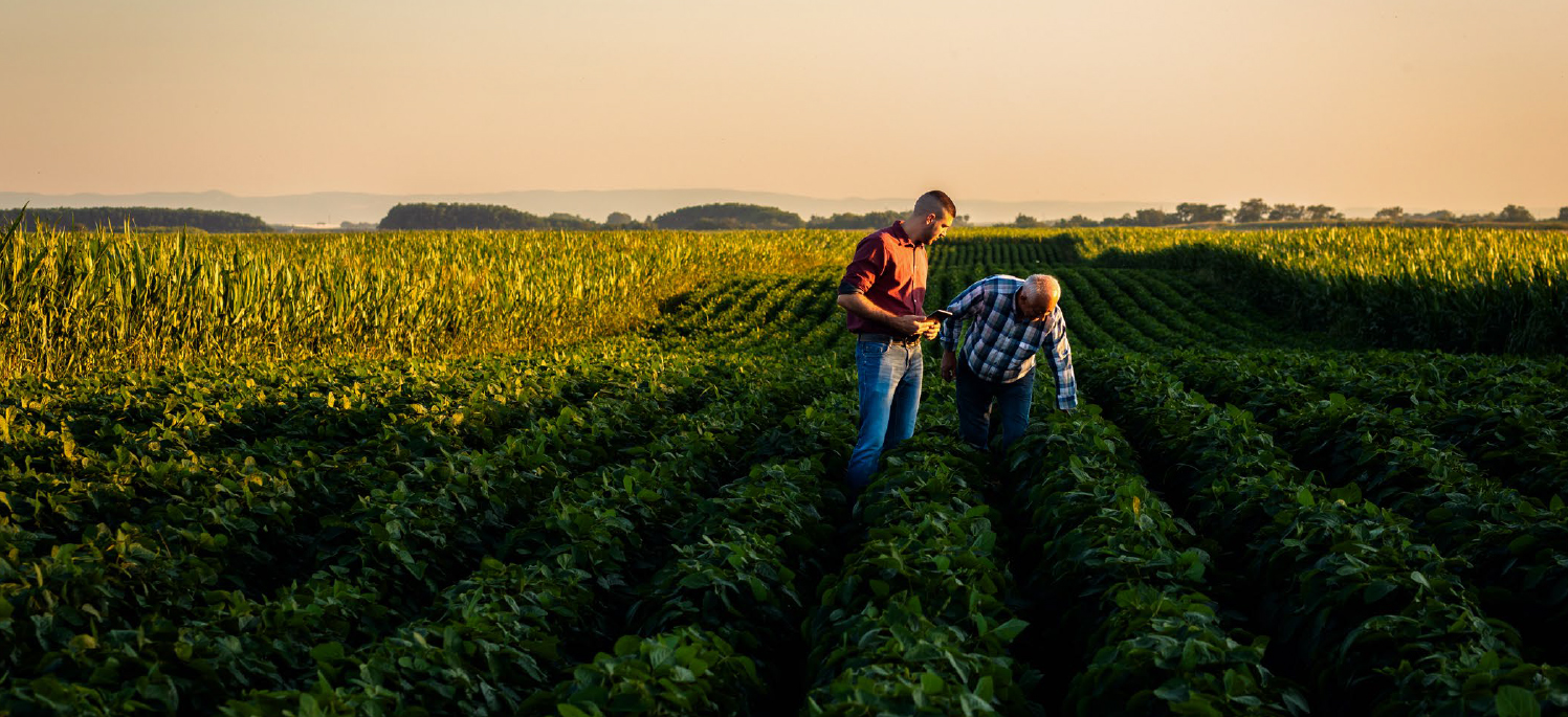 The Workforce Opportunity for Rural Communities Initiative