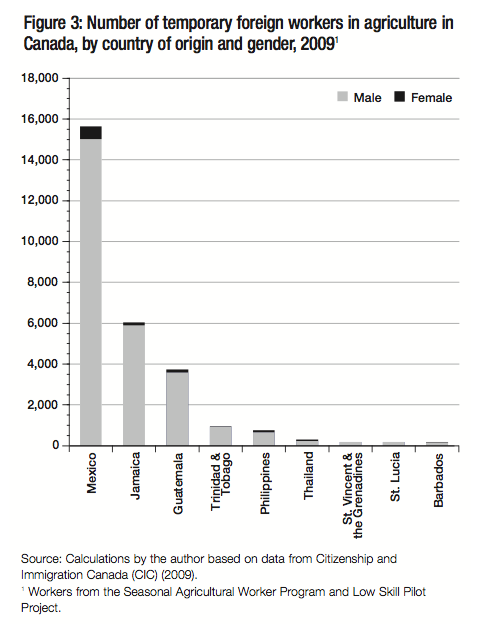 Figure 3 Number of temporary foreign workers in agriculture in Canada by country of origin and gender 20091